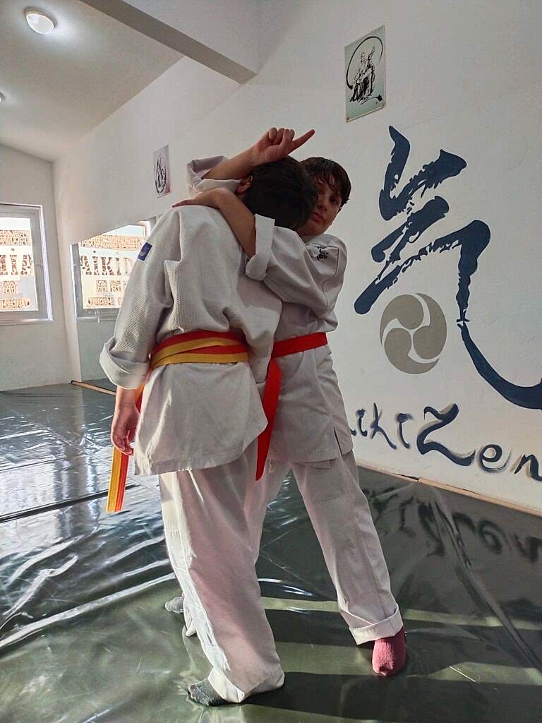 Aikido Antalya Aikizendojo