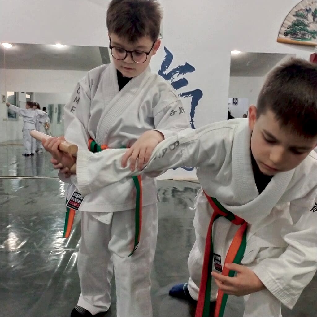 antalya çocuk aikido aikizendojo
